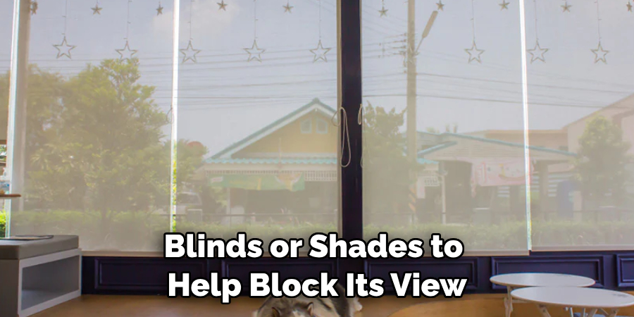 Blinds or Shades to 
Help Block Its View