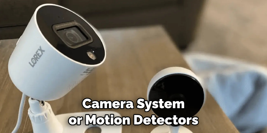  Camera System or Motion Detectors