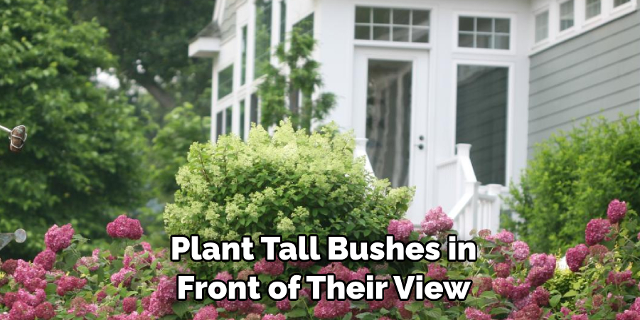  Plant Tall Bushes in Front of Their View