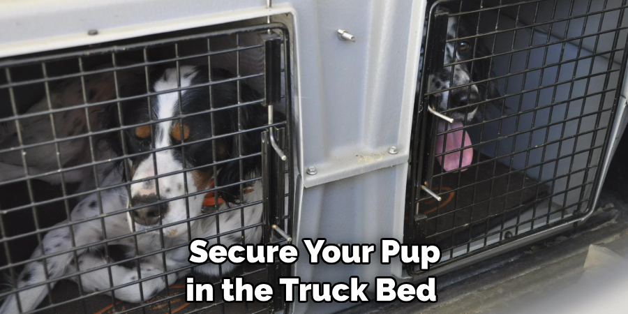  Secure Your Pup in the Truck Bed