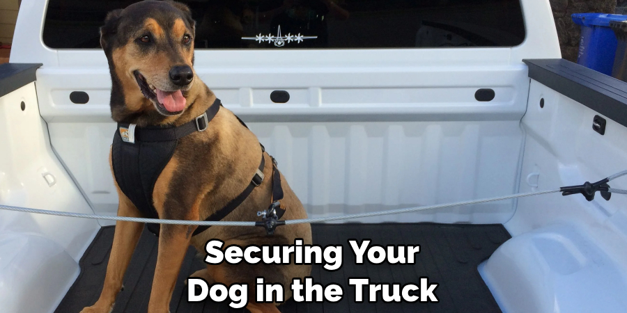 Securing Your Dog in the Truck