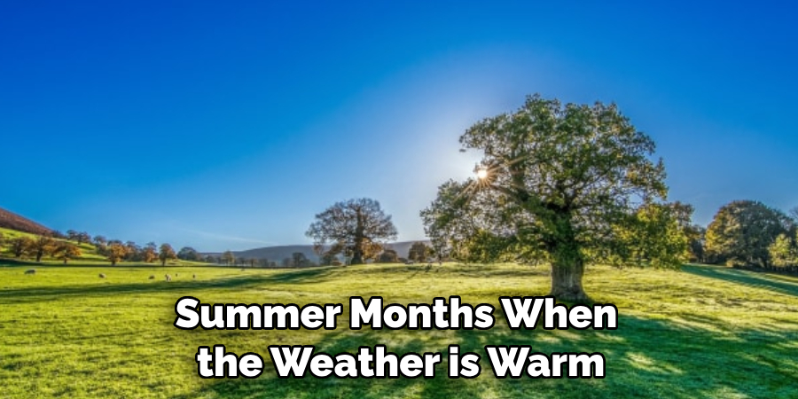 Summer Months When the Weather is Warm