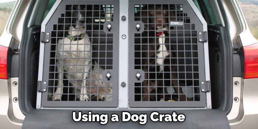 Using a Dog Crate