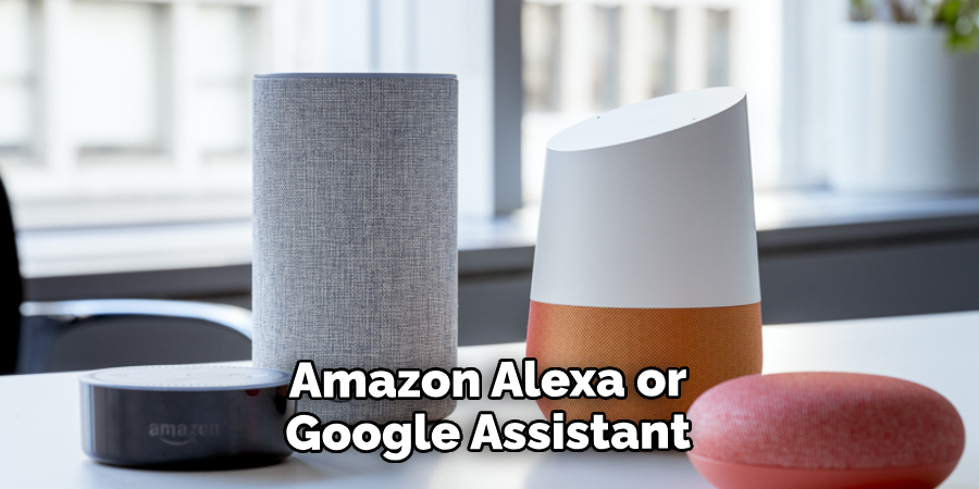 Amazon Alexa or Google Assistant