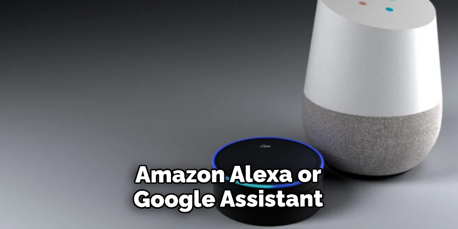 Amazon Alexa or Google Assistant