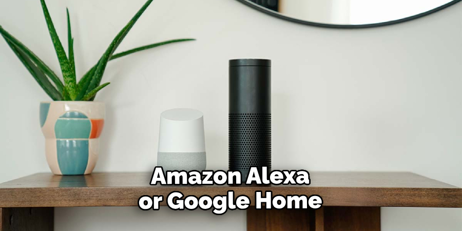 Amazon Alexa or Google Home