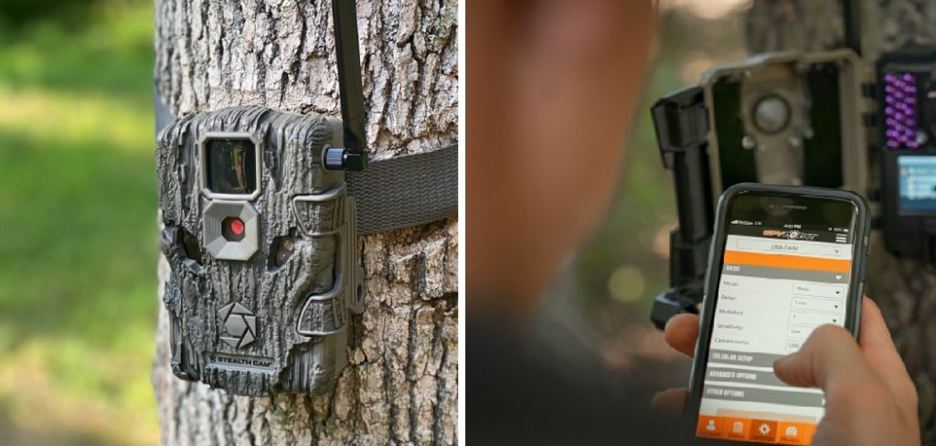 How to Set Up Cellular Trail Camera