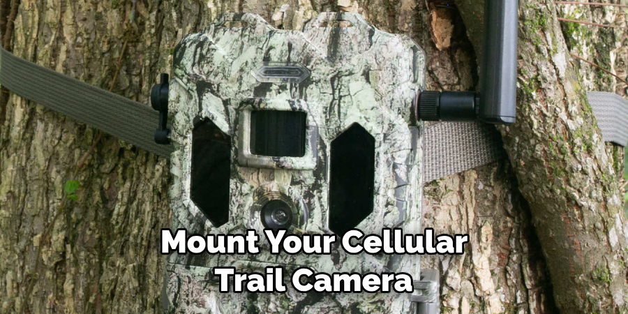 Mount Your Cellular Trail Camera 