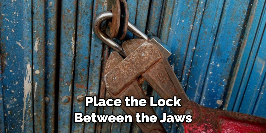 Place the Lock Between the Jaws 