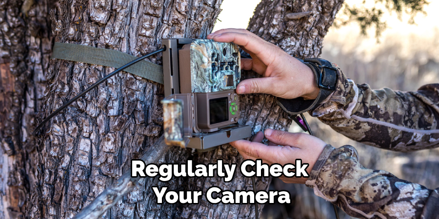 Regularly Check Your Camera