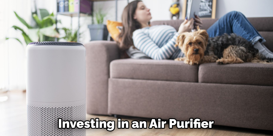 Investing in an Air Purifier