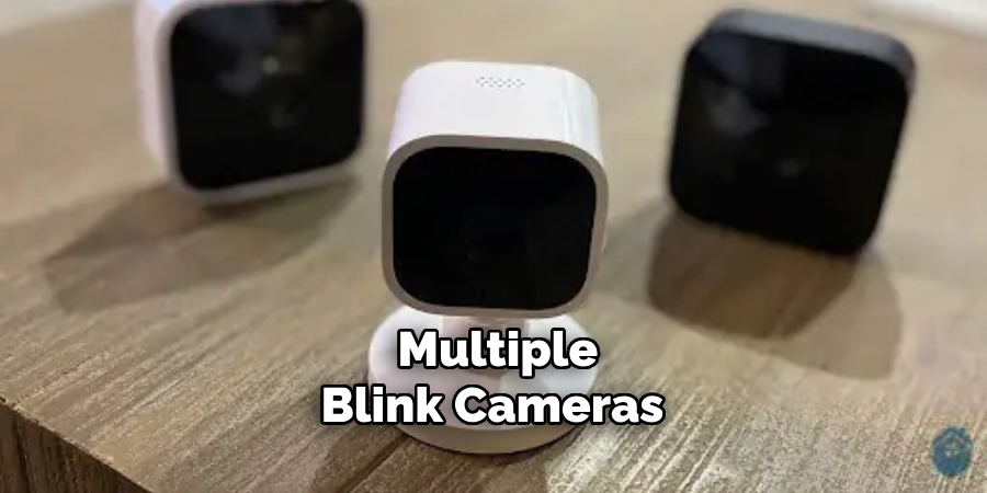 Multiple Blink Cameras