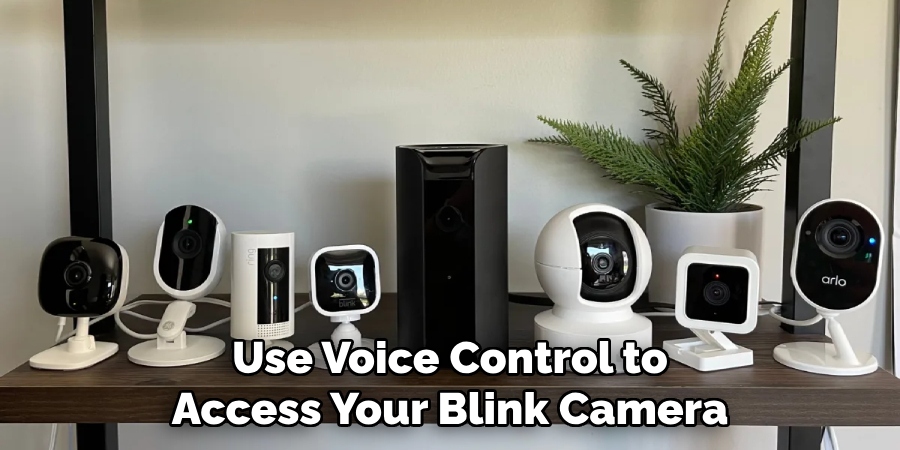 Use Voice Control to Access Your Blink Camera