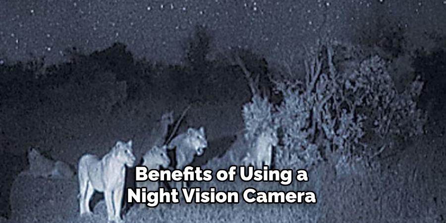 Benefits of Using a Night Vision Camera