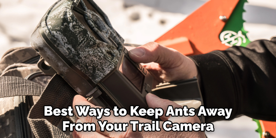 Best Ways to Keep Ants Away From Your Trail Camera