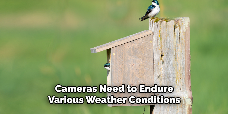 Cameras Need to Endure Various Weather Conditions