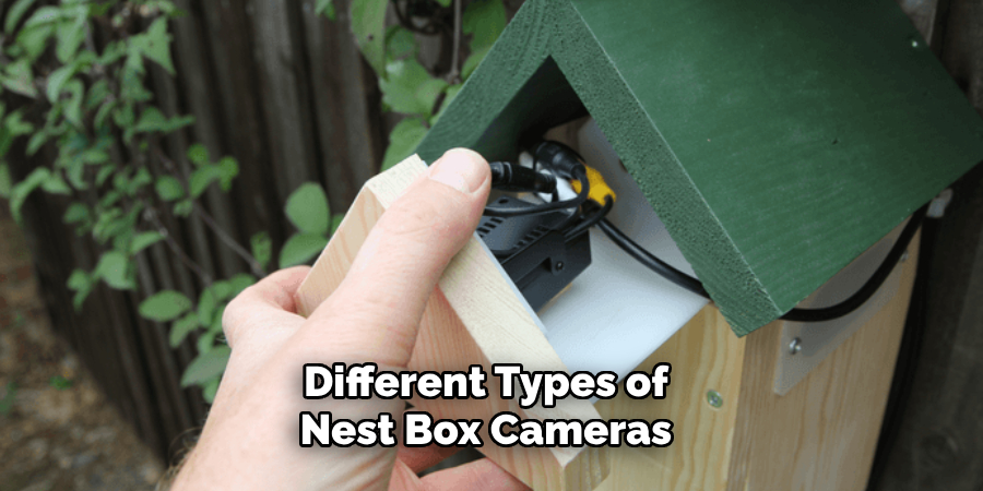 Different Types of Nest Box Cameras