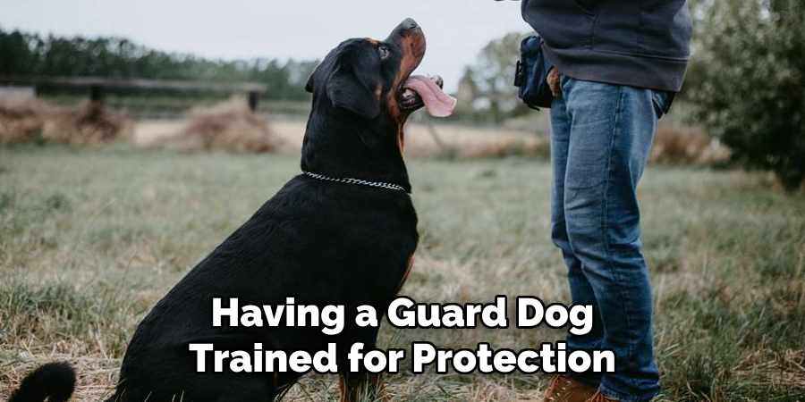 Having a Guard Dog Trained for Protection