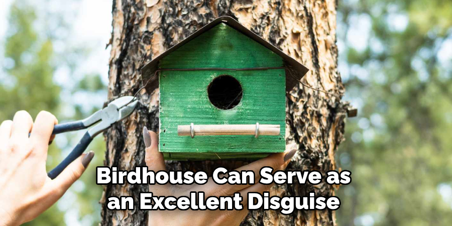 Birdhouse Can Serve as an Excellent Disguise 