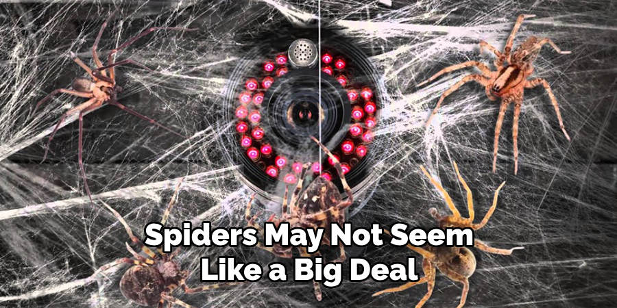 Spiders May Not Seem Like a Big Deal