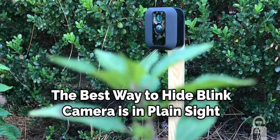 The Best Way to Hide Blink Camera is in Plain Sight