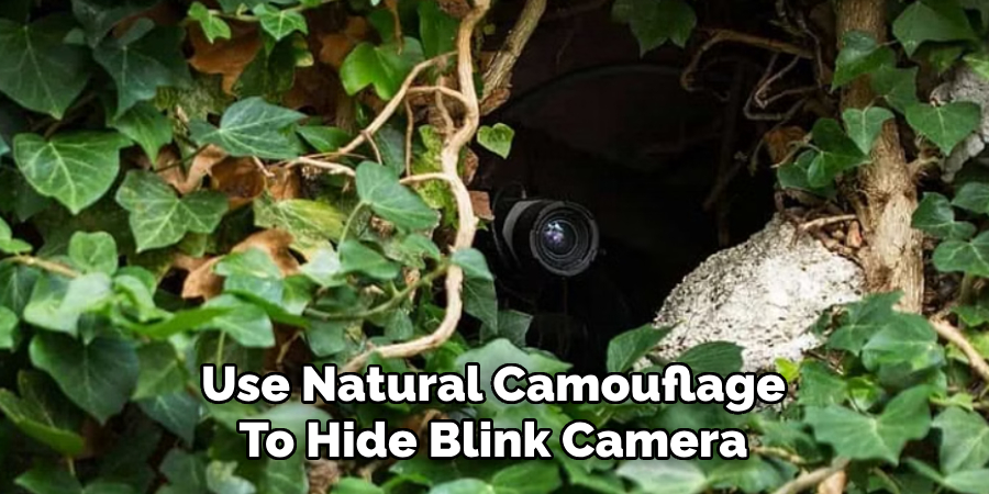 Use Natural Camouflage To Hide Blink Camera
