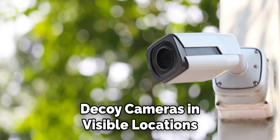 Decoy Cameras in Visible Locations