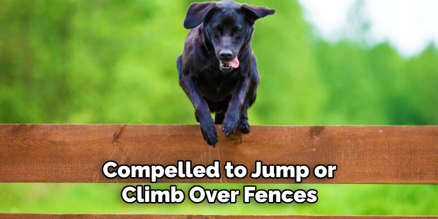 Compelled to Jump or Climb Over Fences