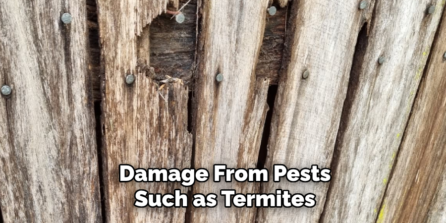 Damage From Pests Such as Termites