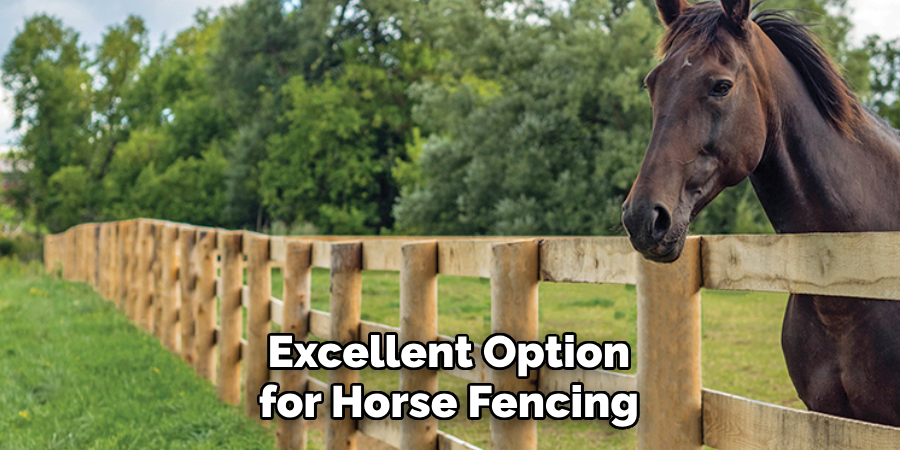 Excellent Option for Horse Fencing