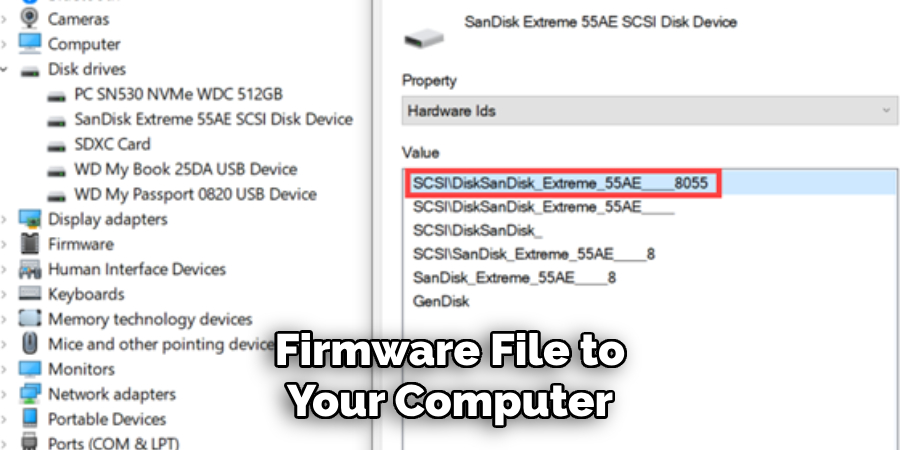 Firmware File to Your Computer