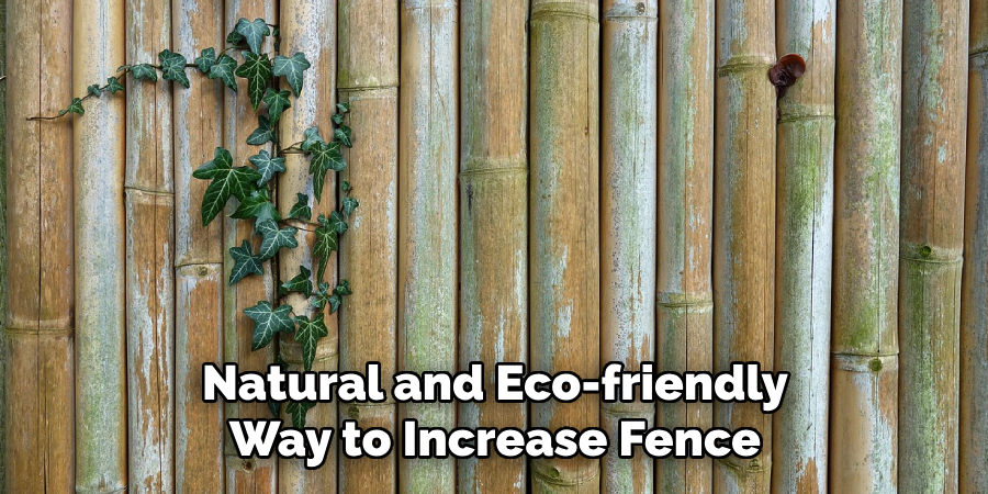 Natural and Eco-friendly Way to Increase Fence