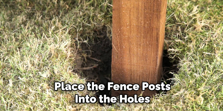 Place the Fence Posts Into the Holes