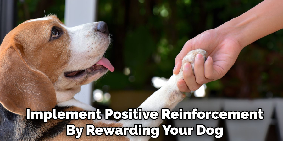 Implement Positive Reinforcement By Rewarding Your Dog