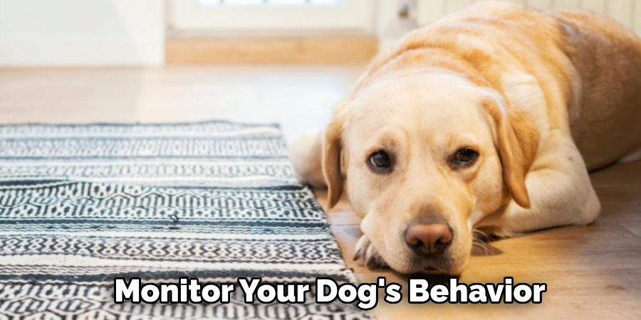 Monitor Your Dog's Behavior