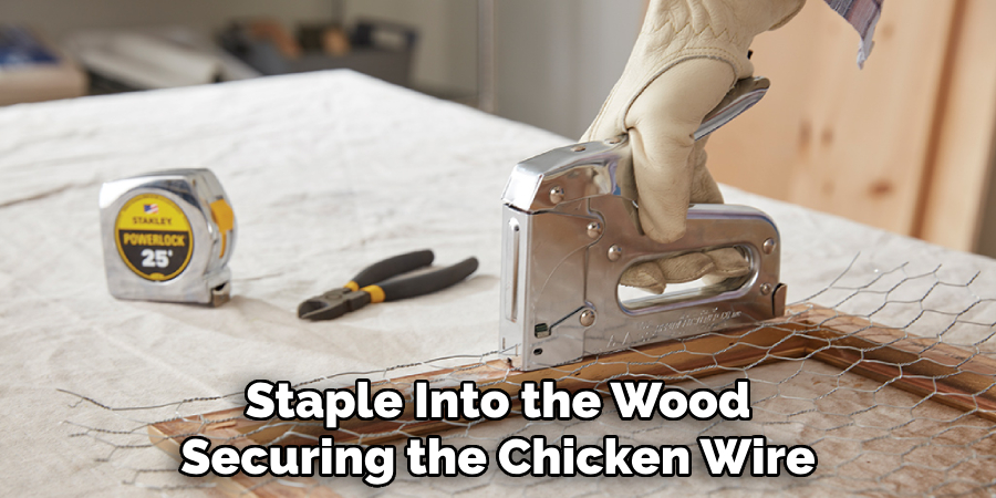 Staple Into the Wood Securing the Chicken Wire