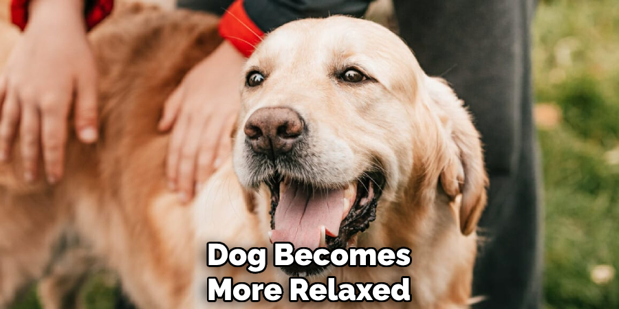 Dog Becomes
More Relaxed