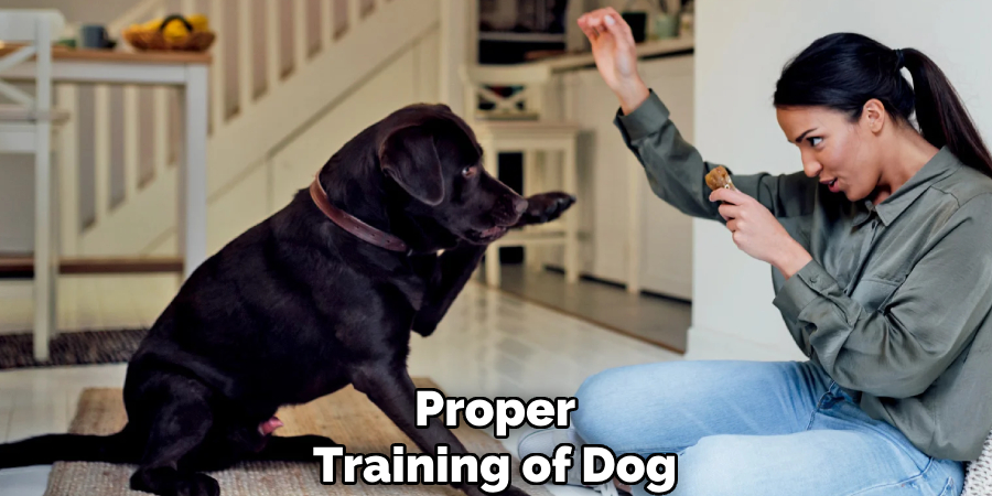 Proper
Training of Dog