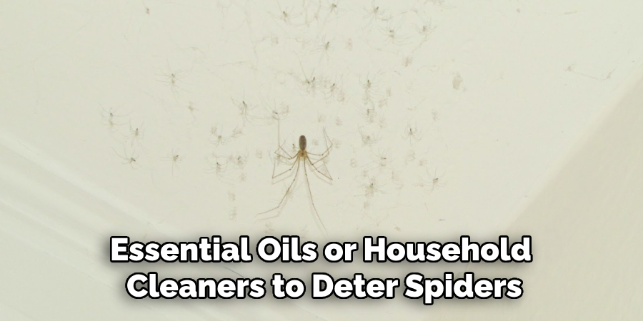 Essential Oils or Household 
Cleaners to Deter Spiders