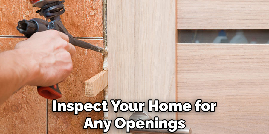 Inspect Your Home for Any Openings