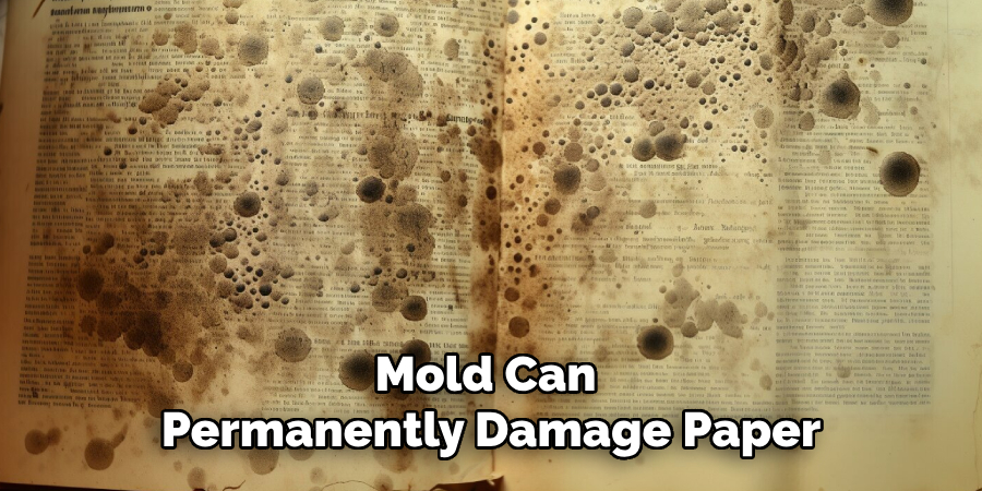 Mold Can 
Permanently Damage Paper