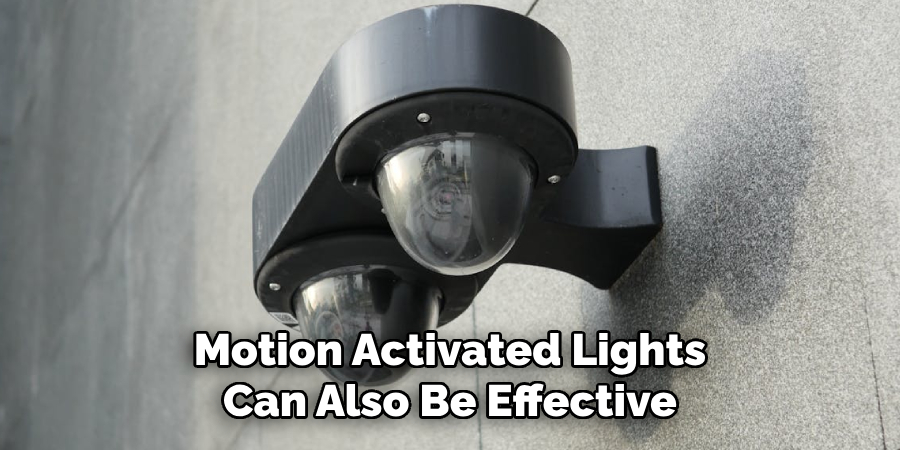 Motion Activated Lights
Can Also Be Effective