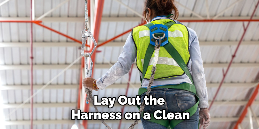 Lay Out the 
Harness on a Clean