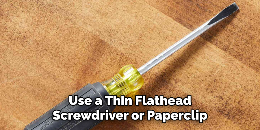 Use a Thin Flathead Screwdriver or Paperclip