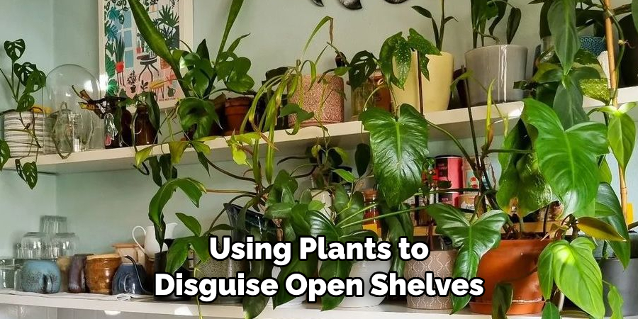 Using Plants to Disguise Open Shelves