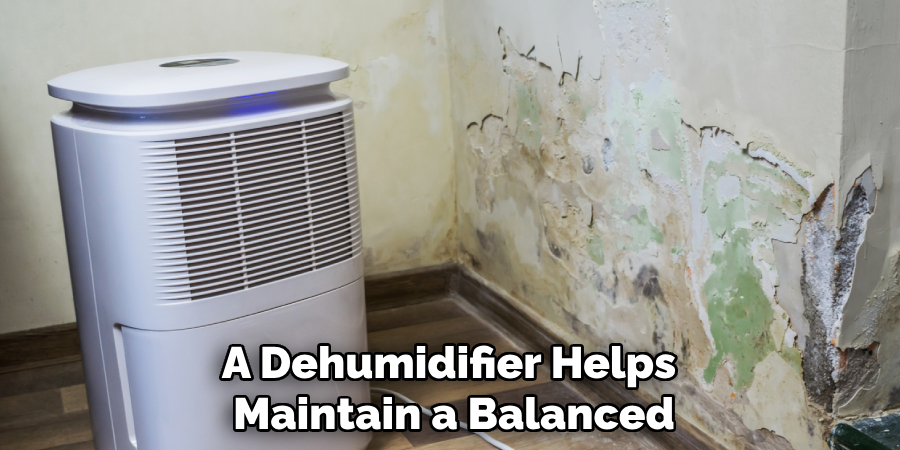 A Dehumidifier Helps Maintain a Balanced