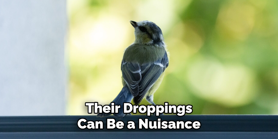 Their Droppings Can Be a Nuisance