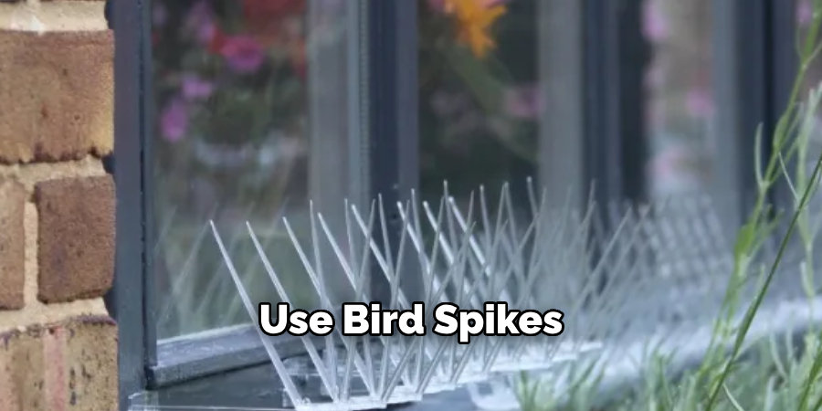 Use Bird Spikes