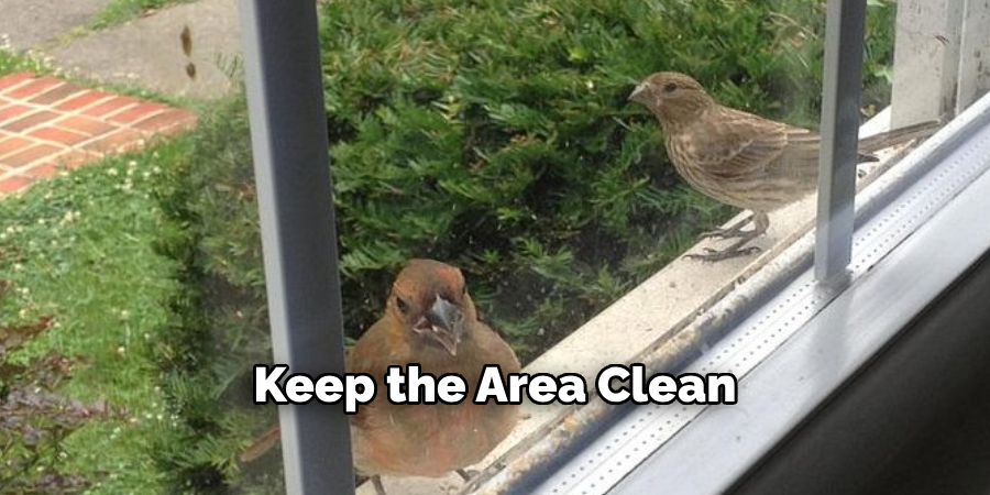 Keep the Area Clean