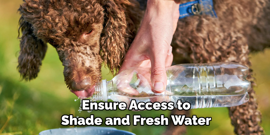 Ensure Access to
Shade and Fresh Water